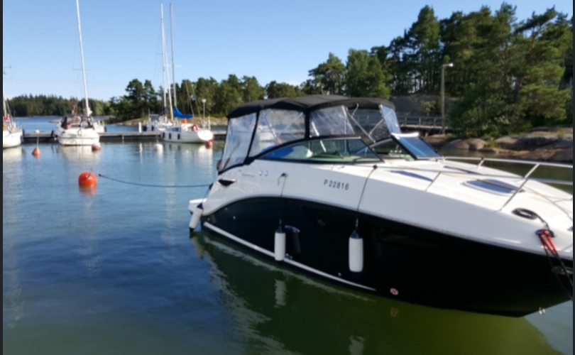 Sea Ray 265-kuva-1